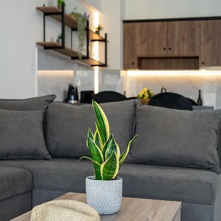 Ruby Luxury ハニア